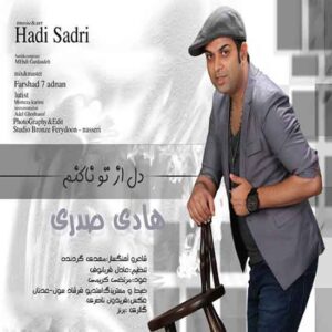 دل از تو ناکنم هادی صدری