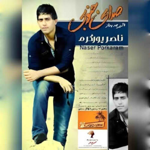 صدای جنوب ناصر پورکرم